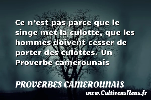 Ce n’est pas parce que le singe met la culotte, que les hommes - Proverbes camerounais - Proverbes philosophiques