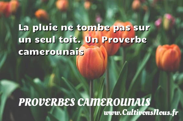 La pluie ne tombe pas sur un seul - Proverbes camerounais - Proverbes philosophiques