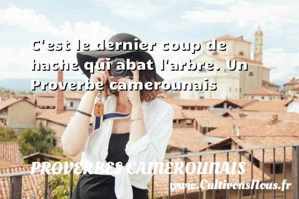 C’est le dernier coup de hache qui abat - Proverbes camerounais - Proverbes philosophiques