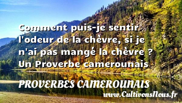Comment puis-je sentir l’odeur de la chèvre, si je n’ai pas mangé - Proverbes camerounais - Devise - Proverbes philosophiques