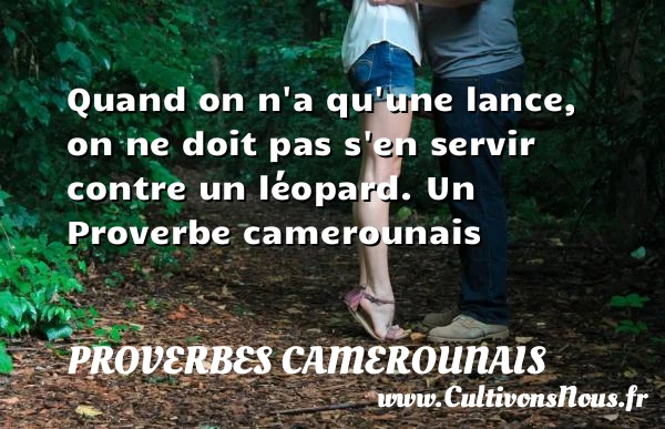 Quand on n’a qu’une lance, on ne doit pas s’en servir contre - Proverbes camerounais - Proverbes philosophiques