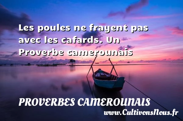 Les poules ne frayent pas avec les cafards. - Proverbes camerounais - Proverbes philosophiques