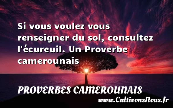 Si vous voulez vous renseigner du sol, consultez - Proverbes camerounais