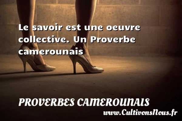 Le savoir est une oeuvre collective. - Proverbes camerounais