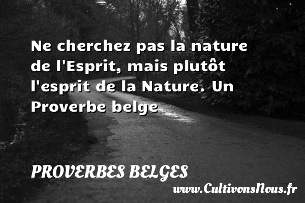 Ne cherchez pas la nature de l’Esprit, mais plutôt - Proverbes belges - Proverbes philosophiques
