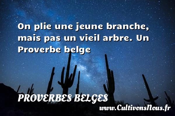 On plie une jeune branche, mais pas un - Proverbes belges