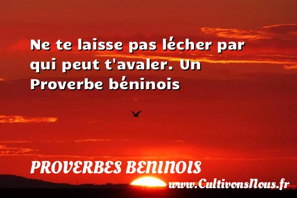 Ne te laisse pas lécher par qui peut - Proverbes beninois - Proverbes philosophiques