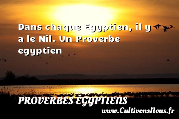 Dans chaque Egyptien, il y a le Nil. - Proverbes égyptiens - Proverbes philosophiques