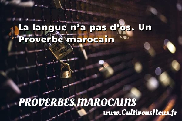 La langue n’a pas d’os. - Proverbes marocains - Proverbes connus - Proverbes philosophiques