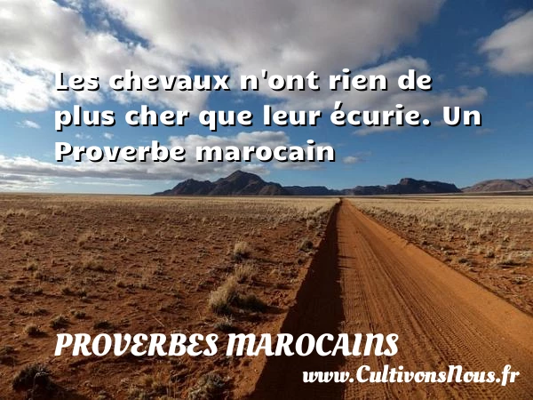 Les chevaux n’ont rien de plus cher que leur - Proverbes marocains - Proverbes fun - Proverbes philosophiques