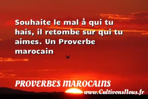 Souhaite le mal à qui tu hais, il retombe sur qui tu aimes. Un Proverbe marocain PROVERBES MAROCAINS