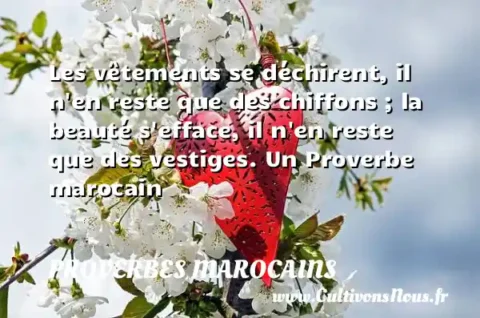 Les vêtements se déchirent, il n en reste que des chiffons ; la beauté s efface, il n en reste que des vestiges. Un Proverbe marocain PROVERBES MAROCAINS