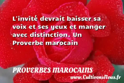 L invité devrait baisser sa voix et ses yeux et manger avec distinction. Un Proverbe marocain PROVERBES MAROCAINS