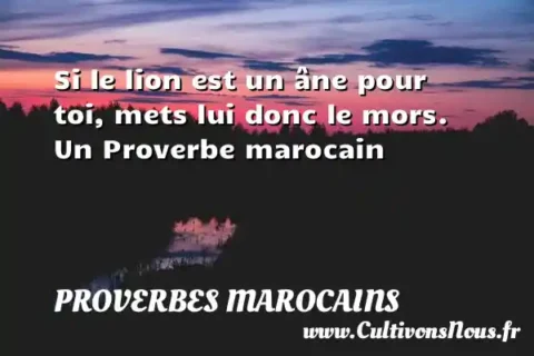 Si le lion est un âne pour toi, mets lui donc le mors. Un Proverbe marocain PROVERBES MAROCAINS