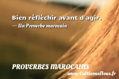 Bien réfléchir avant d agir. - Un Proverbe marocain PROVERBES MAROCAINS