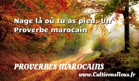 Nage là où tu as pied. Un Proverbe marocain PROVERBES MAROCAINS
