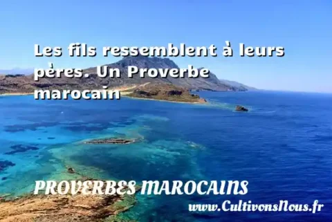 Les fils ressemblent à leurs pères. Un Proverbe marocain PROVERBES MAROCAINS