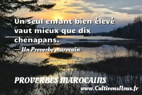 Un seul enfant bien élevé vaut mieux que dix chenapans. - Un Proverbe marocain PROVERBES MAROCAINS