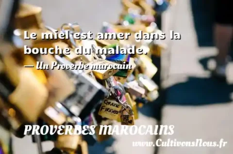 Le miel est amer dans la bouche du malade. - Un Proverbe marocain PROVERBES MAROCAINS