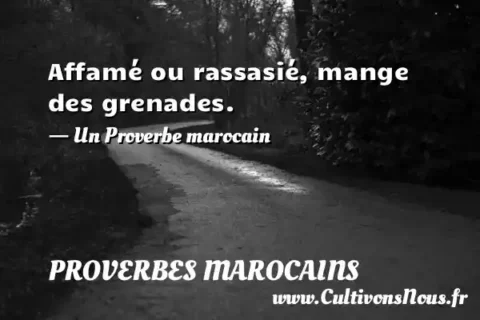 Affamé ou rassasié, mange des grenades. - Un Proverbe marocain PROVERBES MAROCAINS