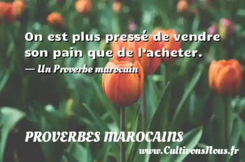 On est plus pressé de vendre son pain que de l’acheter. - Un Proverbe marocain PROVERBES MAROCAINS