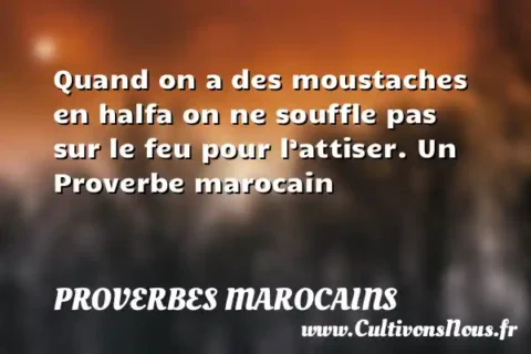 Quand on a des moustaches en halfa on ne souffle pas sur le feu pour l’attiser. Un Proverbe marocain PROVERBES MAROCAINS