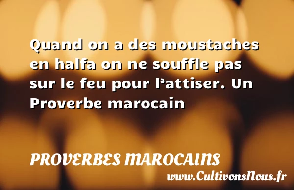 Quand on a des moustaches en halfa on ne - Proverbes marocains - Proverbes philosophiques