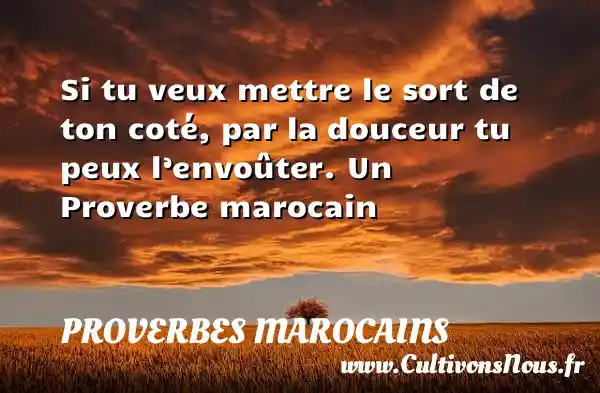 Si tu veux mettre le sort de ton coté, par la douceur tu peux l’envoûter. Un Proverbe marocain PROVERBES MAROCAINS