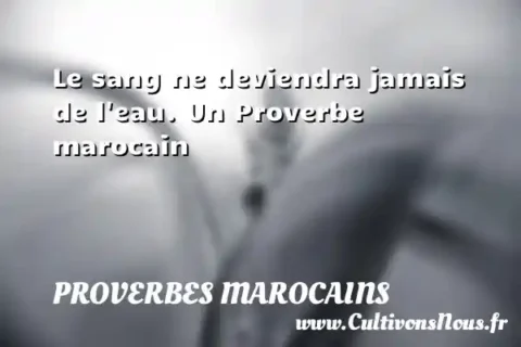 Le sang ne deviendra jamais de l eau. Un Proverbe marocain PROVERBES MAROCAINS