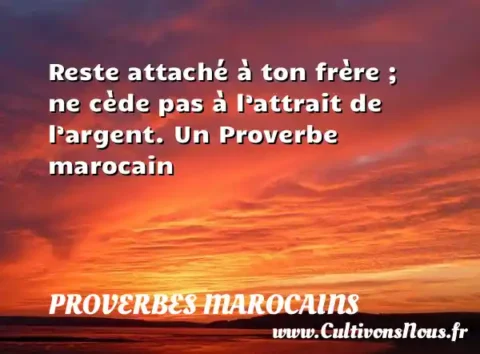 Reste attaché à ton frère ; ne cède pas à l’attrait de l’argent. Un Proverbe marocain PROVERBES MAROCAINS