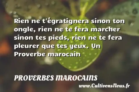 Rien ne t égratignera sinon ton ongle, rien ne te fera marcher sinon tes pieds, rien ne te fera pleurer que tes yeux. Un Proverbe marocain PROVERBES MAROCAINS