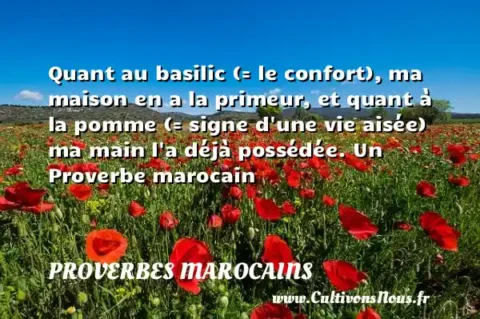 Quant au basilic (= le confort), ma maison en a la primeur, et quant à la pomme (= signe d une vie aisée) ma main l a déjà possédée. Un Proverbe marocain PROVERBES MAROCAINS