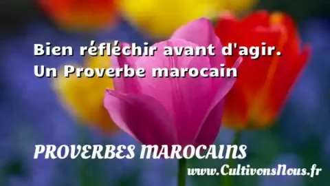 Bien réfléchir avant d agir. Un Proverbe marocain PROVERBES MAROCAINS