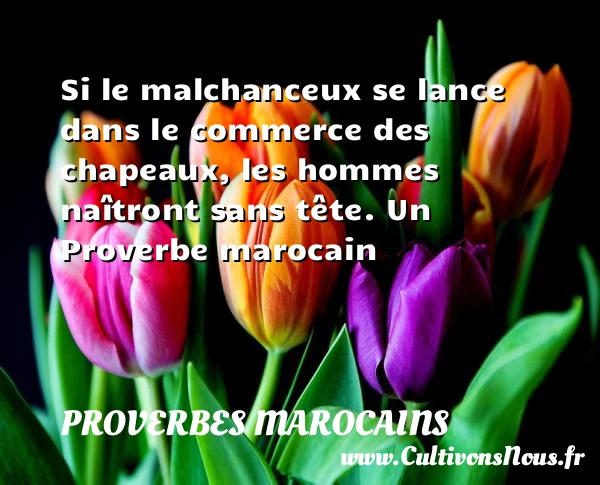 Si le malchanceux se lance dans le commerce - Proverbes marocains - Proverbe chance