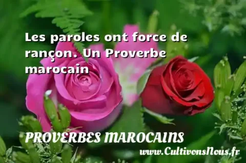 Les paroles ont force de rançon. Un Proverbe marocain PROVERBES MAROCAINS