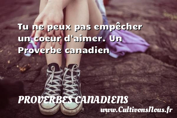 Tu ne peux pas empêcher un coeur d’aimer. - Proverbes canadiens - Proverbes philosophiques - Proverbes vie