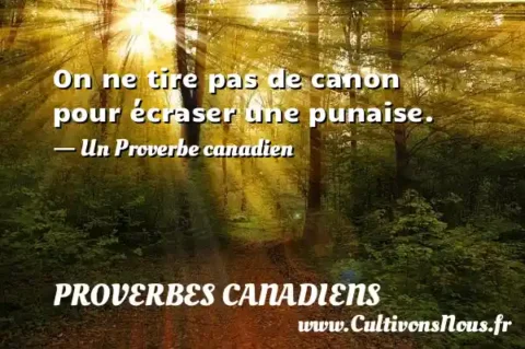 On ne tire pas de canon pour écraser une punaise. - Un Proverbe canadien PROVERBES CANADIENS