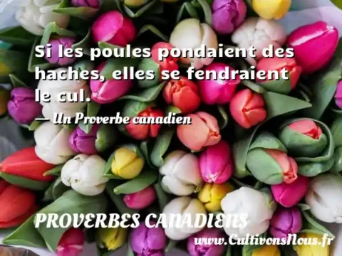 Si les poules pondaient des haches, elles se fendraient le cul. - Un Proverbe canadien PROVERBES CANADIENS