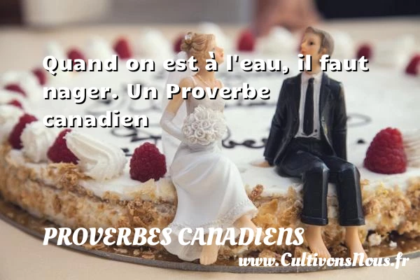 Quand on est à l’eau, il faut nager. - Proverbes canadiens - Proverbes philosophiques
