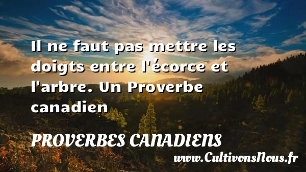 Il ne faut pas mettre les doigts entre l’écorce et - Proverbes canadiens - Proverbes philosophiques
