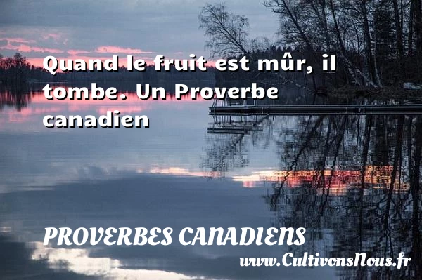 Quand le fruit est mûr, il tombe. - Proverbes canadiens - Proverbes philosophiques