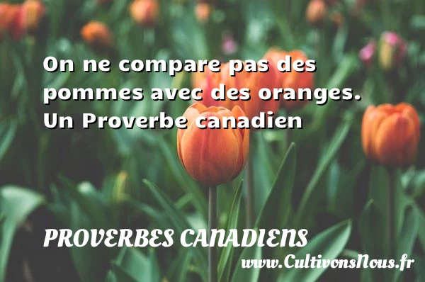On ne compare pas des pommes avec des - Proverbes canadiens - Proverbes philosophiques