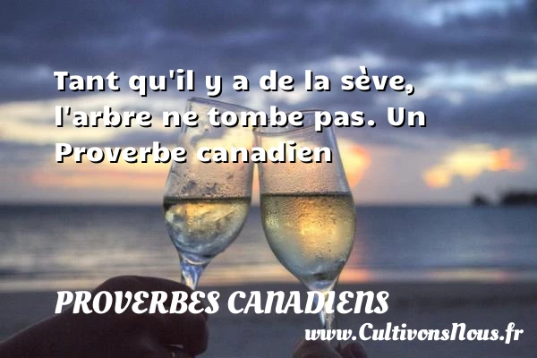 Tant qu’il y a de la sève, l’arbre - Proverbes canadiens - Proverbes philosophiques