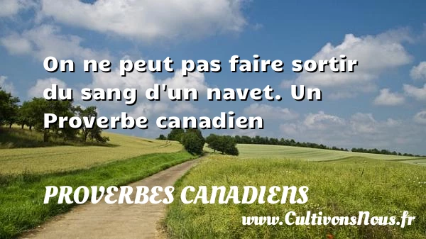 On ne peut pas faire sortir du sang d’un - Proverbes canadiens - Proverbes philosophiques