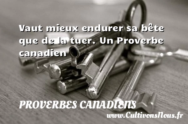Vaut mieux endurer sa bête que de la - Proverbes canadiens - Proverbes philosophiques