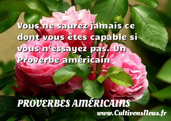 Vous ne saurez jamais ce dont vous êtes capable si vous n’essayez - Proverbes américains - Proverbes philosophiques