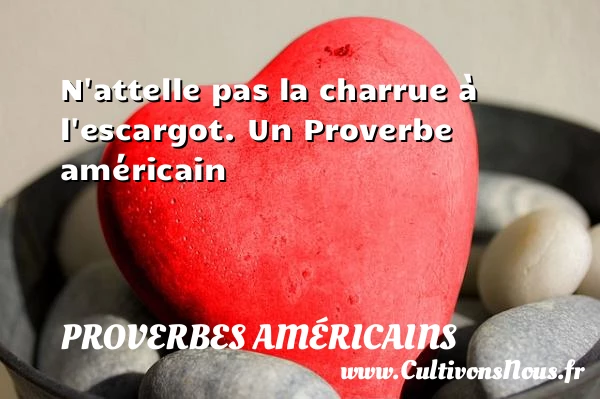 N’attelle pas la charrue à l’escargot. - Proverbes américains - Proverbes philosophiques