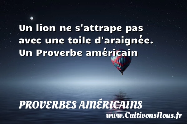 Un lion ne s’attrape pas avec une toile - Proverbes américains