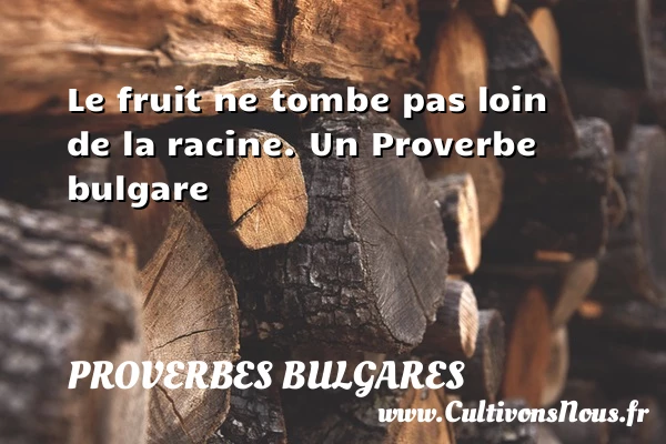 Le fruit ne tombe pas loin de la - Proverbes bulgares - Proverbes philosophiques