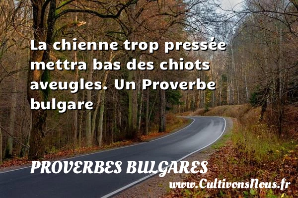 La chienne trop pressée mettra bas des chiots - Proverbes bulgares - Proverbes philosophiques